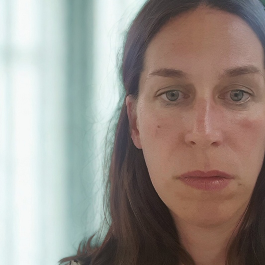 The Vulnerability of Visibility